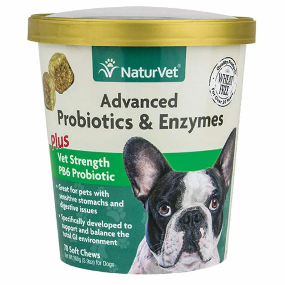 15% OFF: NaturVet Advanced Probiotics & Enzymes Soft Chew Supplement For Dogs