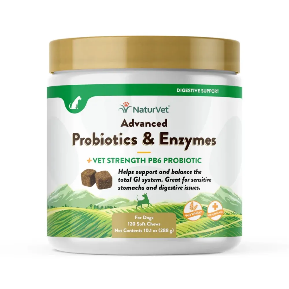 15% OFF: NaturVet Advanced Probiotics & Enzymes Soft Chew Supplement For Dogs