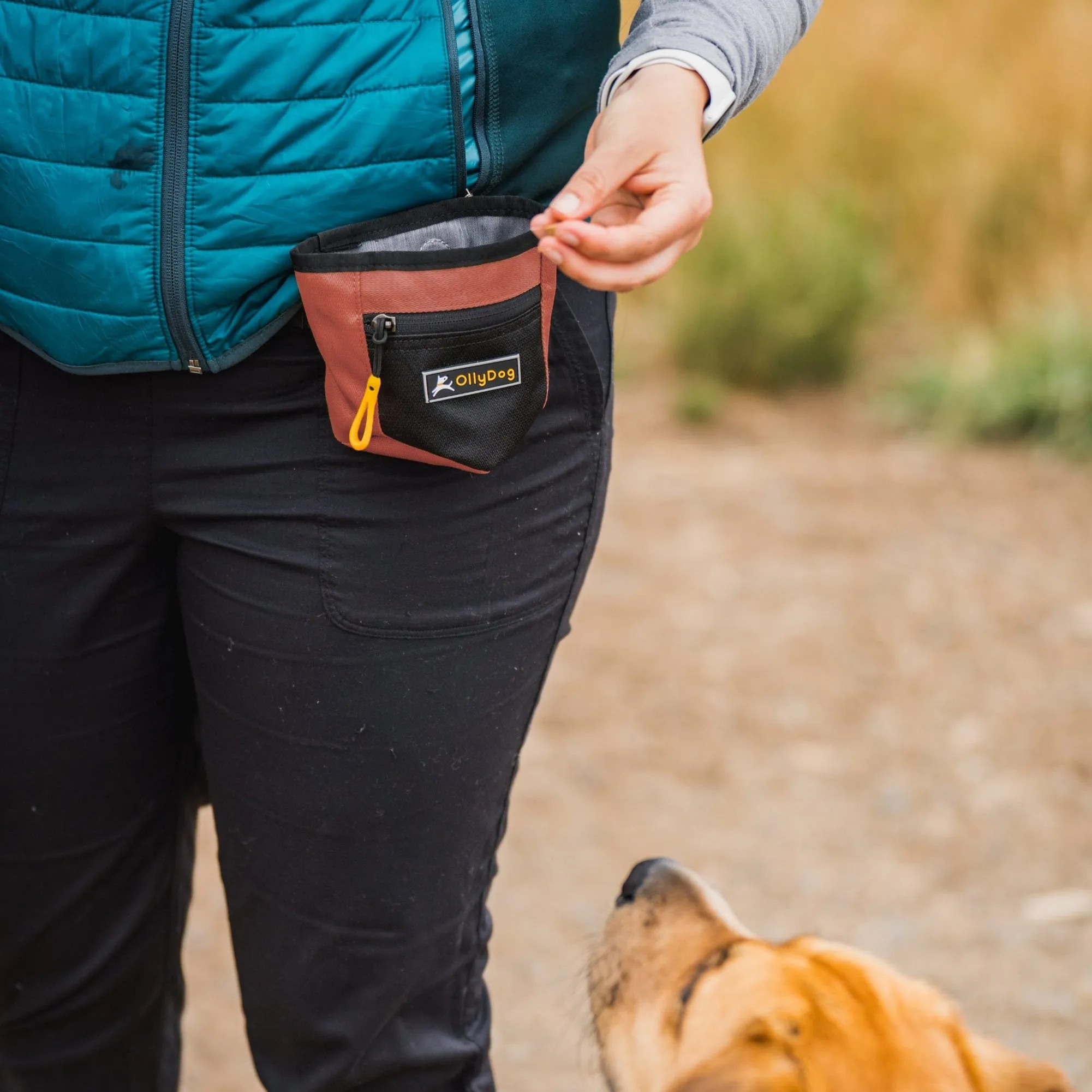 Goodie Treat Bag | Dog Treat Pouch