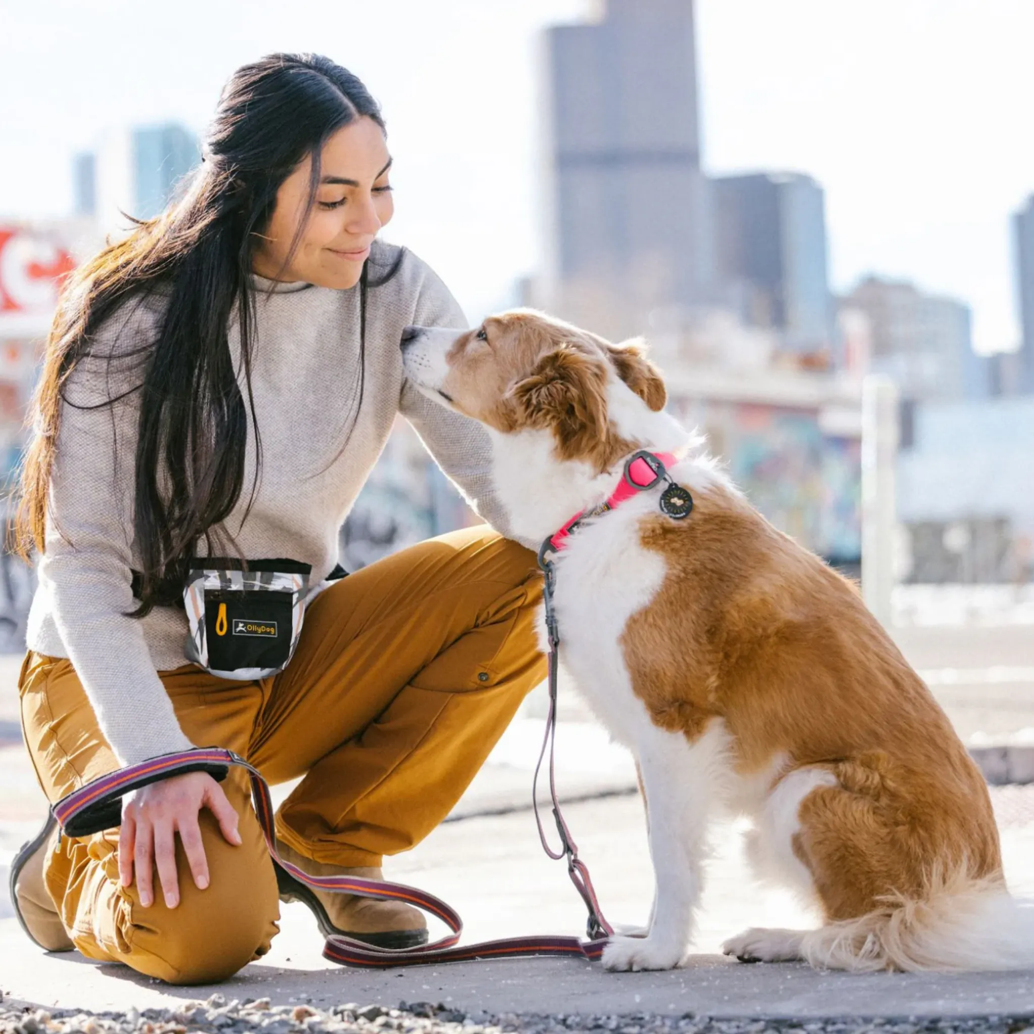 Goodie Treat Bag | Dog Treat Pouch