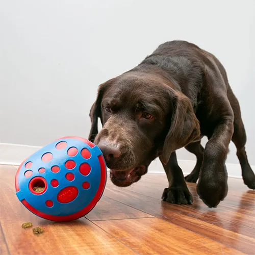 KONG - Reward - Wally Treat Dispensing Dog Toy