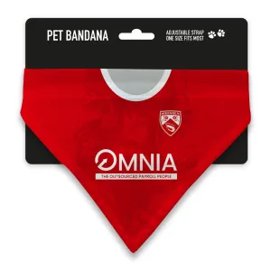 Morecambe 23/24 Home Pet Bandana