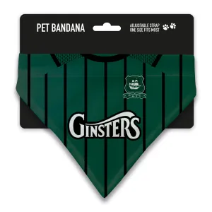 Plymouth Argyle 21/22 Home Pet Bandana