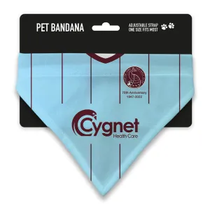 Taunton Town 2022 Away Pet Bandana