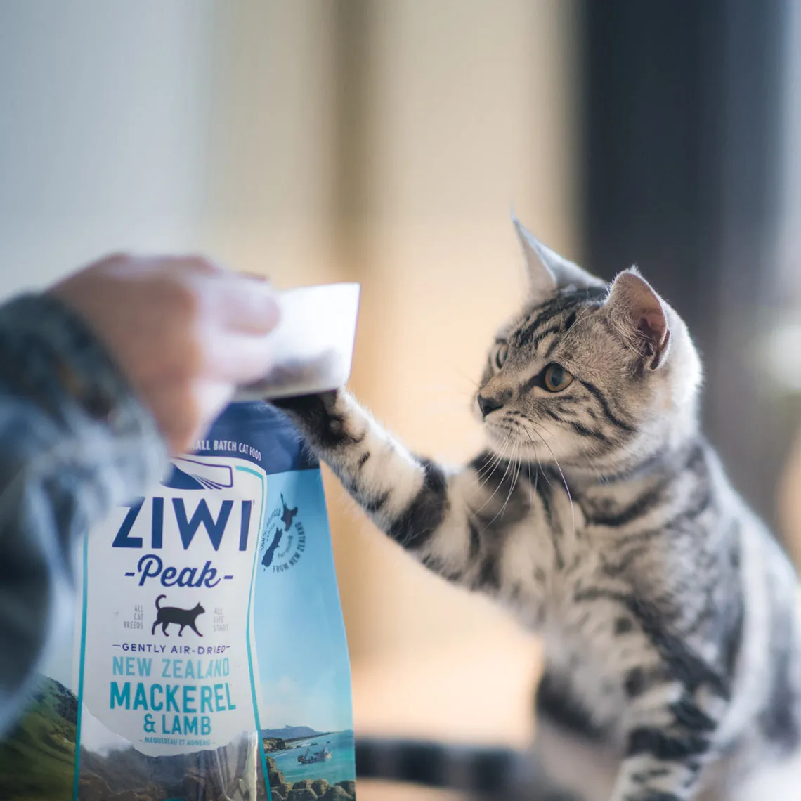 ZiwiPeak Daily Cuisine Grain-Free Air-Dried Cat Food